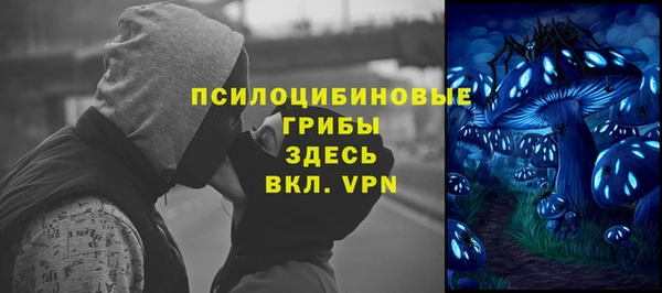 эйфоретик Кодинск