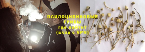 дживик Корсаков