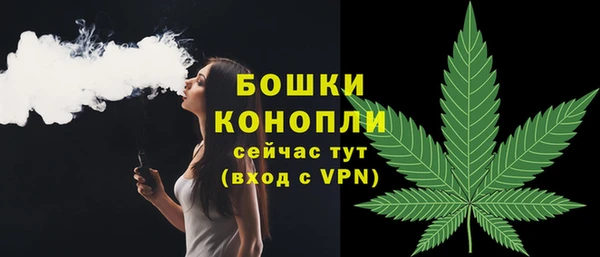 трава Шали