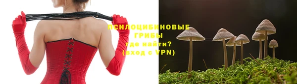 таблы Козельск