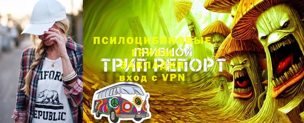 таблы Козельск