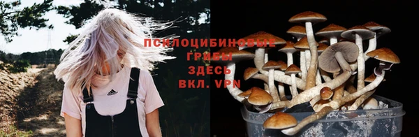 бутират Киреевск
