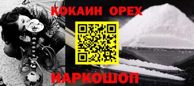 крисы Новокубанск