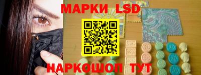 крисы Новокубанск