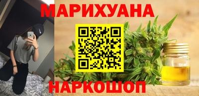 крисы Новокубанск