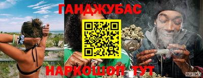 ПСИЛОЦИБИНОВЫЕ ГРИБЫ Новозыбков