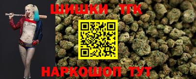 крисы Новокубанск