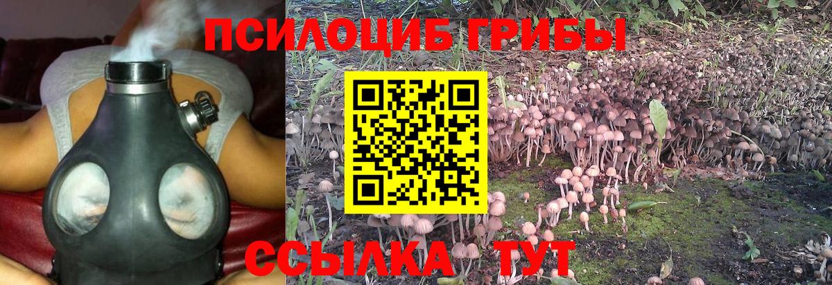 Псилоцибиновые грибы ЛСД  Вход с VPN  Маркс 